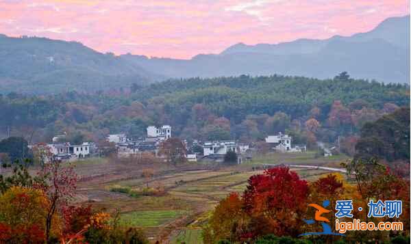 桃花源里，有个塔川（摄影圣地）？