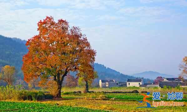 桃花源里，有个塔川（摄影圣地）？