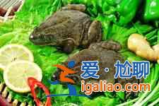 田鸡粥的做法大全？