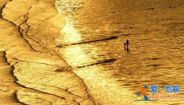福建霞浦：碧海溢彩、滩涂铺金，美得不可思议！？