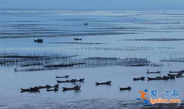 福建霞浦：碧海溢彩、滩涂铺金，美得不可思议！？