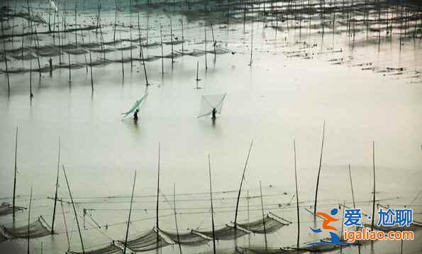 福建霞浦：碧海溢彩、滩涂铺金，美得不可思议！？