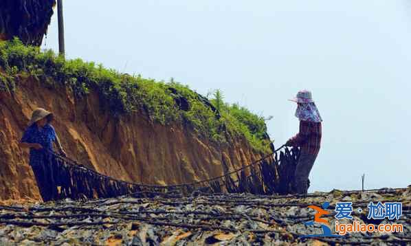 福建霞浦：碧海溢彩、滩涂铺金，美得不可思议！？