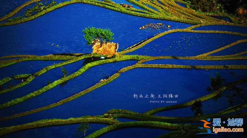 元阳梯田，来自上帝之手的作品？