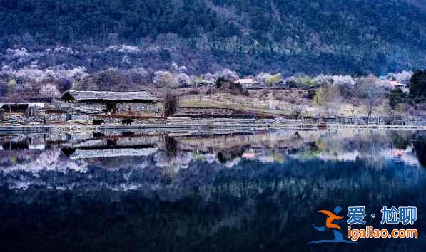 【西藏摄影】一路美景，风光无限？