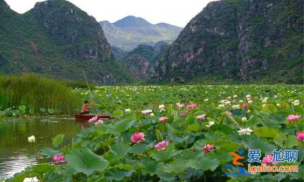 中国最美的山水田园风光，美呆了！？