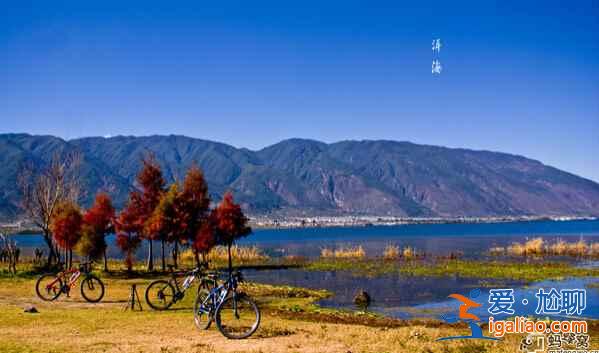 苍山洱海旁，有个美丽的大理？