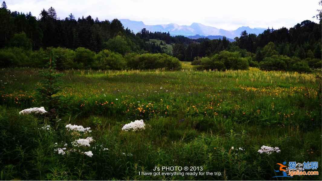 长白山北坡、西坡、南坡的不同、沿途主要风景？