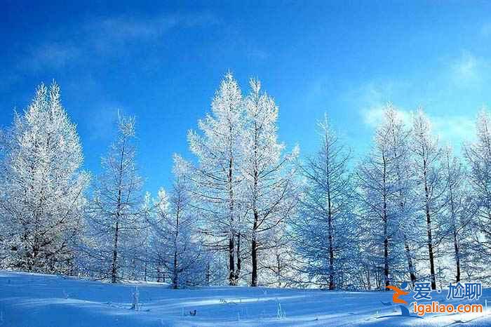 中国最美十大雪乡之一，这个冬季去贺兰山看雪吧？