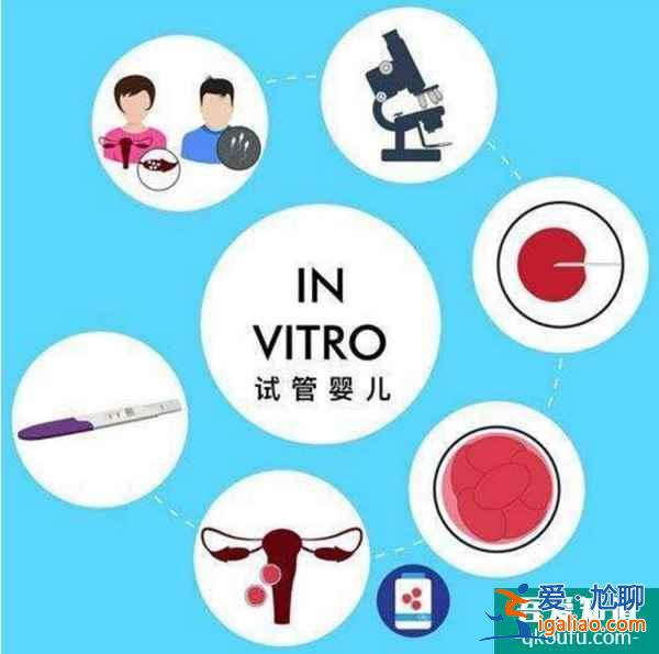 试管婴儿定制双胞胎，要多带带收费吗？？