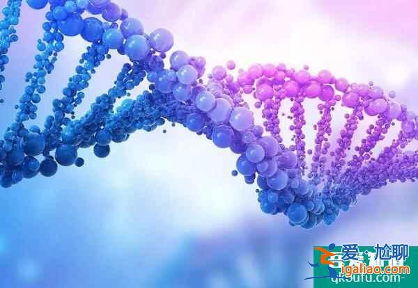 为什么单囊移植成试管婴儿主流?? 为什么单囊移植成试管婴儿主流??