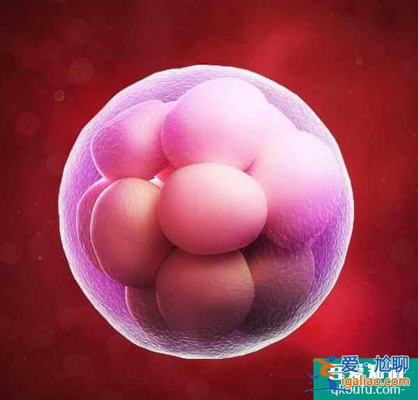 为什么单囊移植成试管婴儿主流?? 为什么单囊移植成试管婴儿主流??