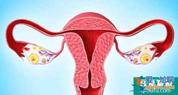 为什么单囊移植成试管婴儿主流?? 为什么单囊移植成试管婴儿主流??