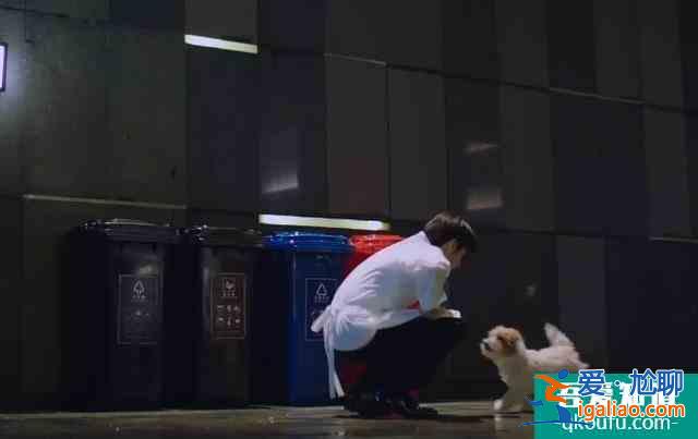 《以家人之名》：贺子秋遇流浪狗，取名贺尖尖，代替李尖尖陪自己？