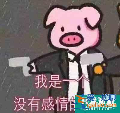 《平凡的荣耀》终于有一部专心搞事业，不讲玛丽苏的职场行业剧？