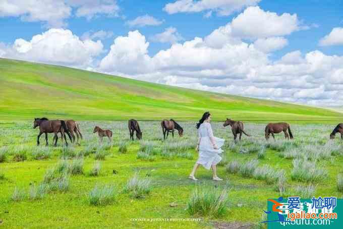 元上天地蒙元文化景区，中国最美的草原，“绿”进心坎里！？