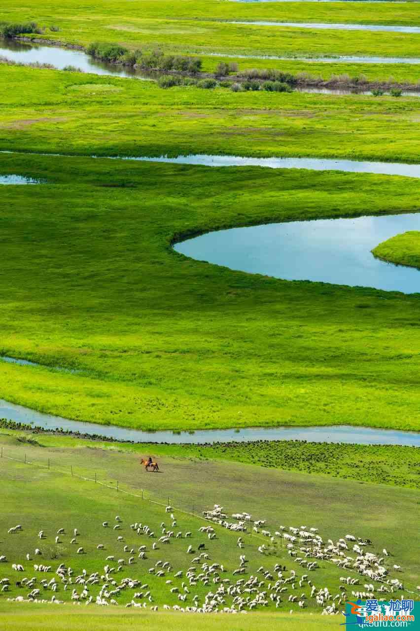 元上天地蒙元文化景区，中国最美的草原，“绿”进心坎里！？