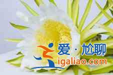 霸王花煲汤？
