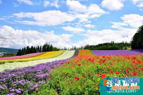 【海外抗疫】为了让游客住得安心，北海道酒店用了这些“高科技”？