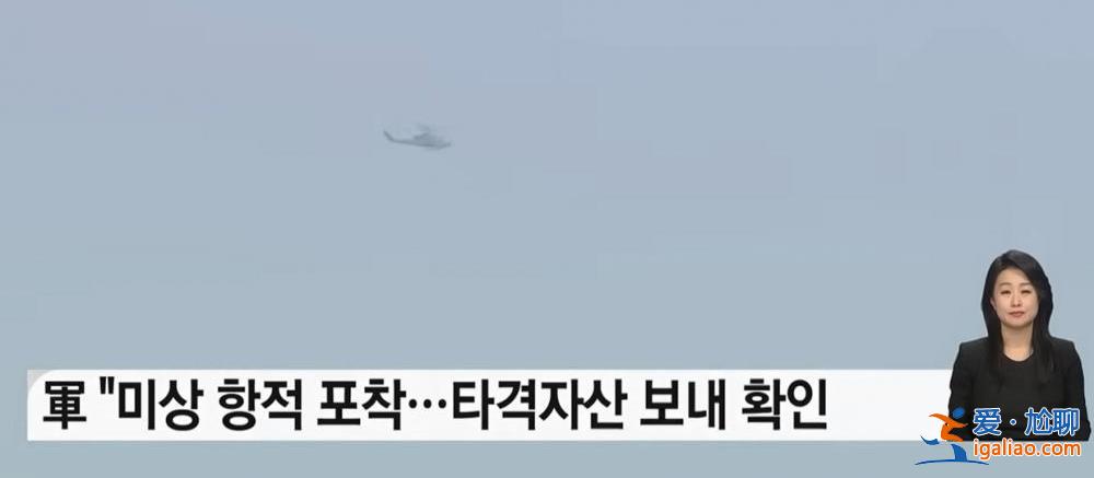 乌龙！韩军误将鸟群当作“越境无人机” 出动20架军机追捕？