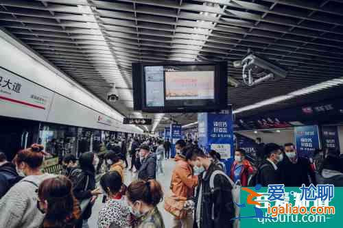 缤纷智利开启中智交流新维度？