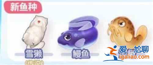 摩尔庄园鳗鱼在哪钓？钓鳗鱼位置一览？
