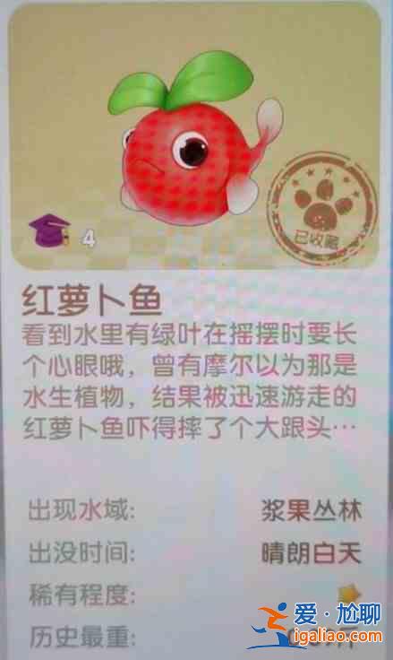 摩尔庄园夏日收集任务怎么完成？夏日收集全物品位置图文一览？