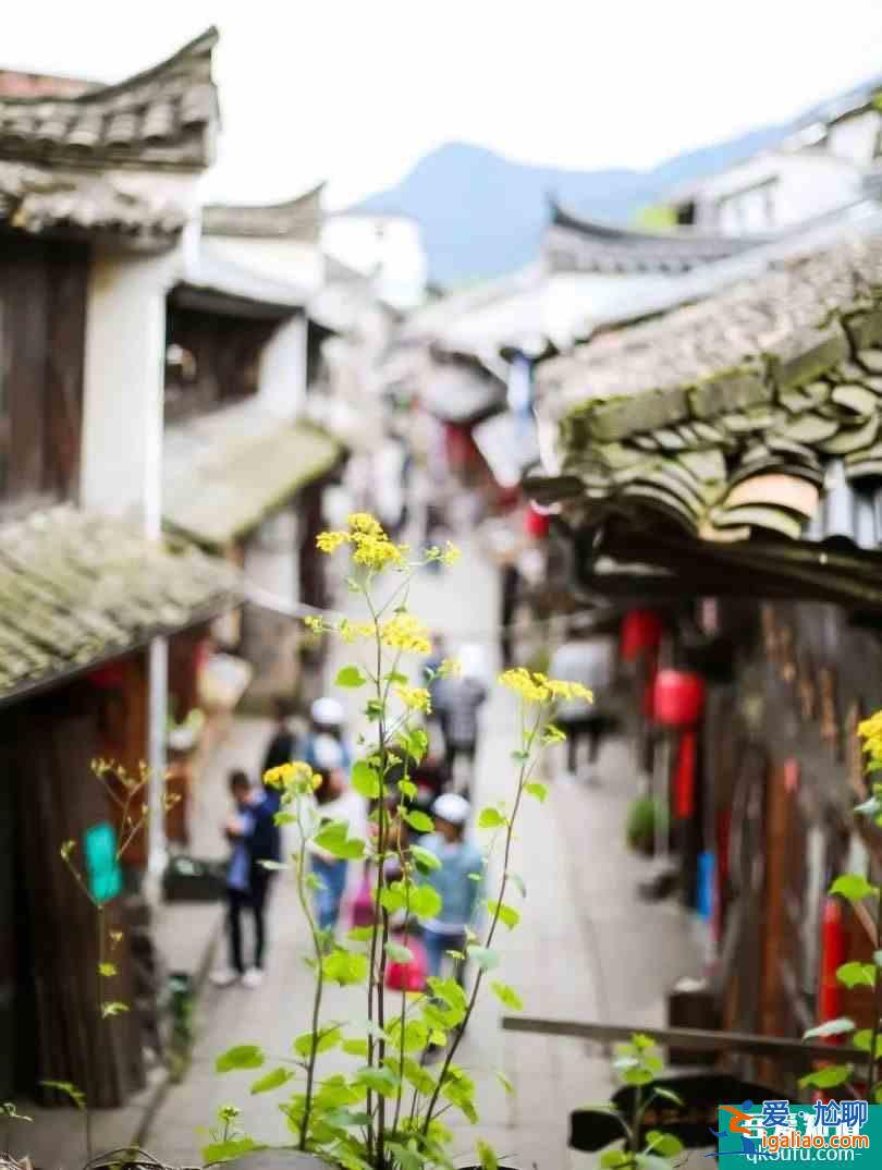 @最美逆行者，您有一份来自古堰画乡的“旅拍邀请函”待查收！？