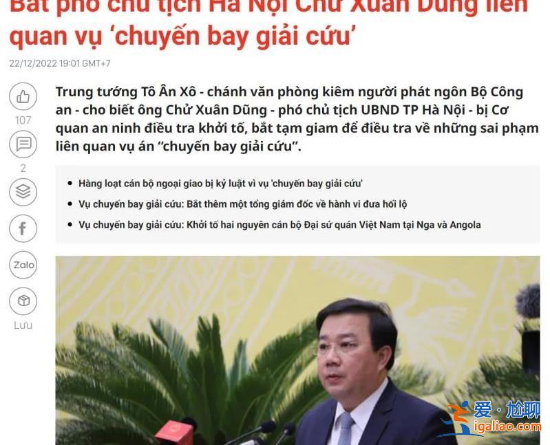 核酸腐败窝案之后 越南疫情包机也出事了 越共外交部长受处分？