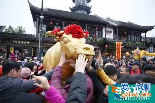 过大年｜年味周庄已就绪，只等你来！？