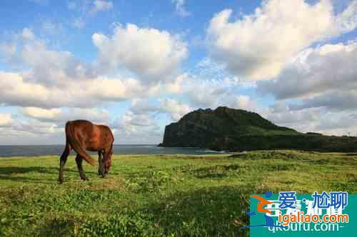 跨越山海 为你而来 韩国济州岛专属微信表情包今起上线？