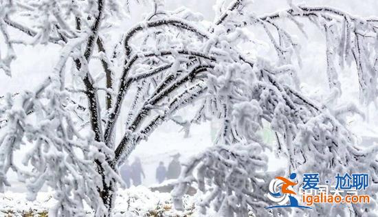跨年冷空气来了！西南地区等地多阴雨雪天气 重庆元旦可赏雾凇？