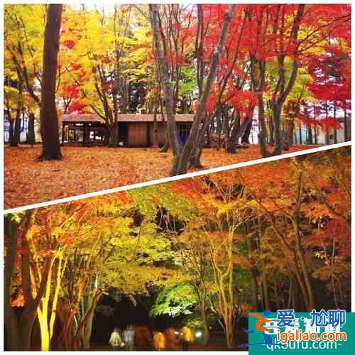 8个北海道秋季旅游小秘密：柳叶鱼、香雪园、混浴露天温泉…赶紧记下来！？