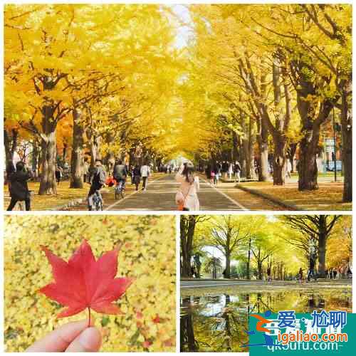 8个北海道秋季旅游小秘密：柳叶鱼、香雪园、混浴露天温泉…赶紧记下来！？