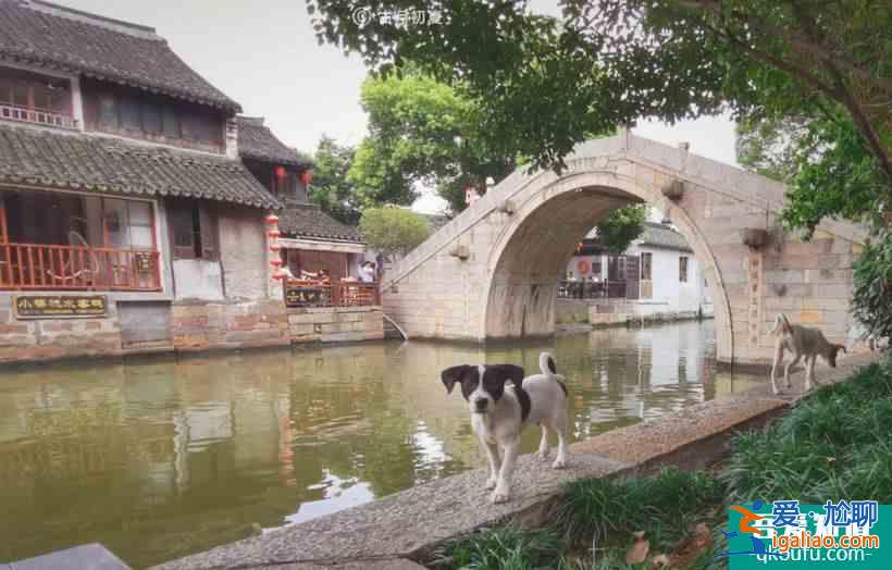 赶赴一场穿越千年的约会，pick江南吃喝玩乐？