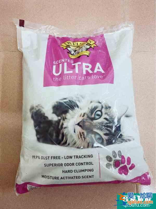 八卦的猫砂分享？