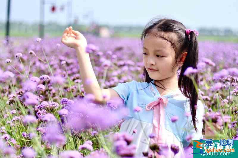 山东齐河花朱村中国驿八卦花田拍照圣地？