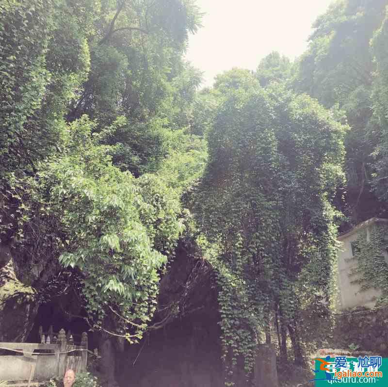 打卡|浙江金华兰溪 地下长河+诸葛八卦村？