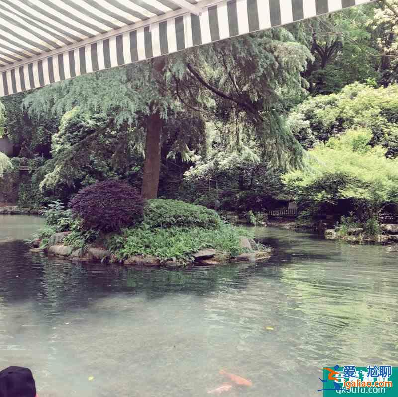 打卡|浙江金华兰溪 地下长河+诸葛八卦村？