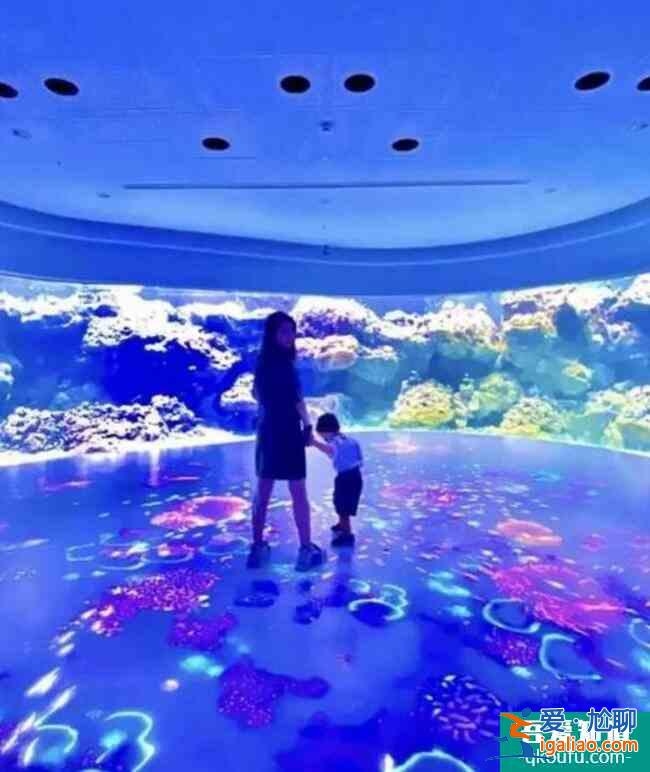 昆凌带孩子去海洋馆 小小周跟妈妈一起看鱼乖巧可爱？