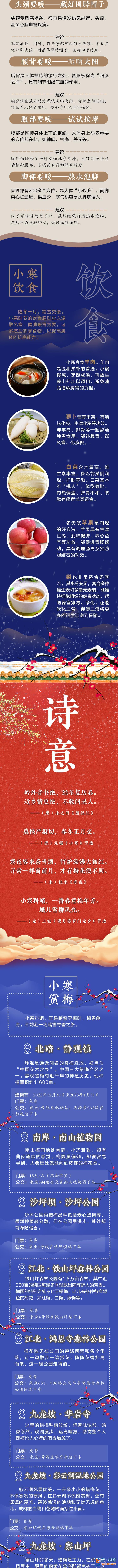 说节气 | 小寒料峭 山城探梅正当时？