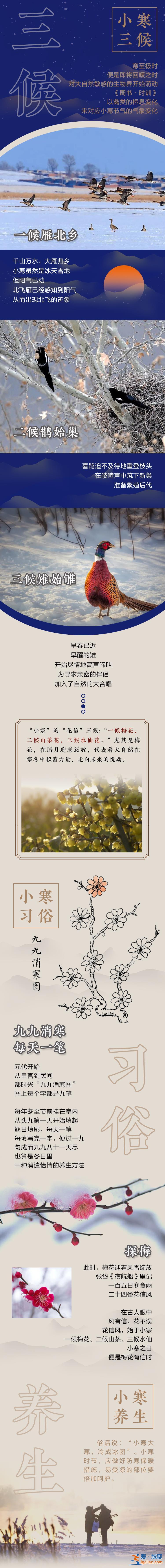 说节气 | 小寒料峭 山城探梅正当时？