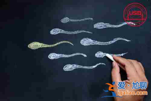 〖新浪热搜〗沧州高薪招聘代生妈招聘25万(新闻资讯)？