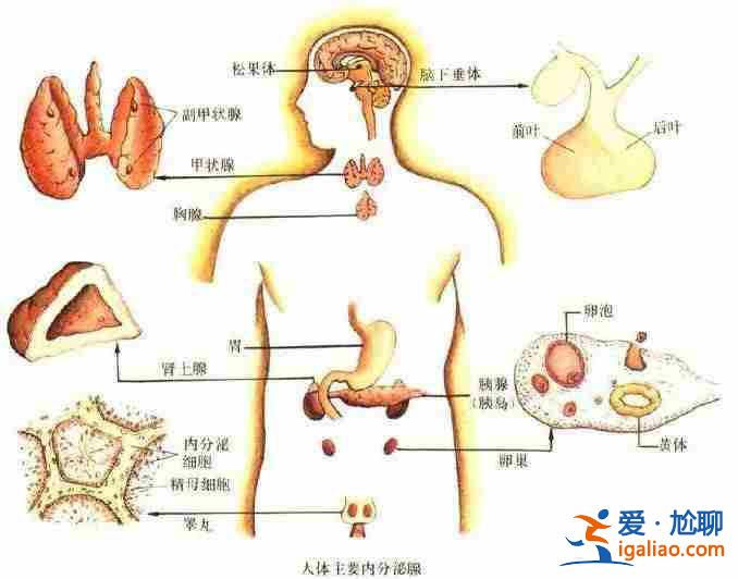 广州助孕产子(深圳子嗣传承助孕)？
