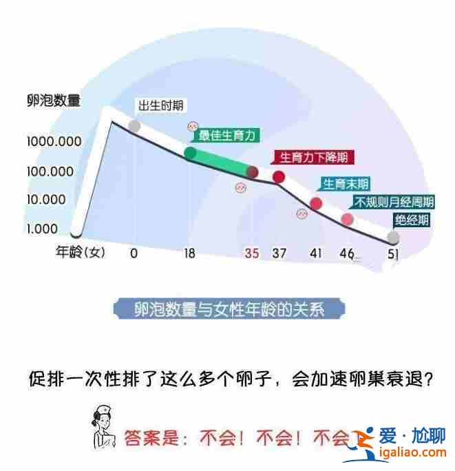 50万找人生孩子——充满孩子的欢笑？
