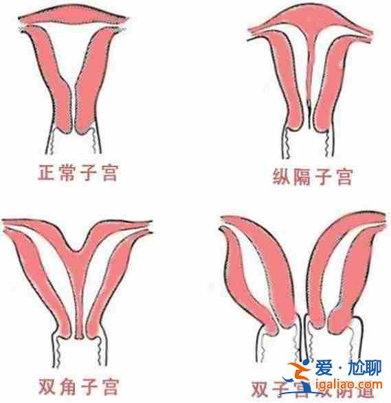 〖焦点〗替生孩子有吗？