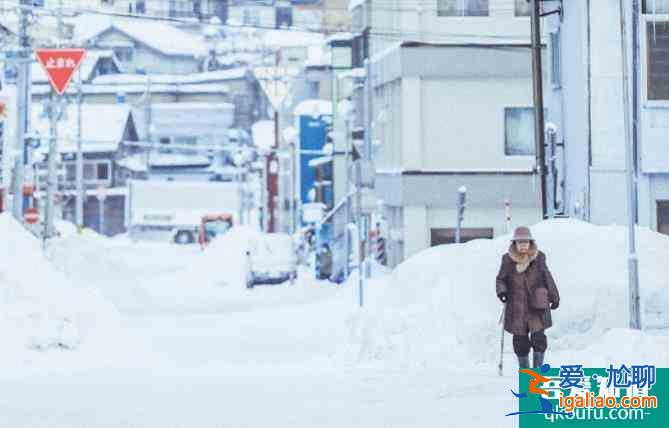 北海道小樽游攻略 北海道小樽游冬季旅行必做的20件事？