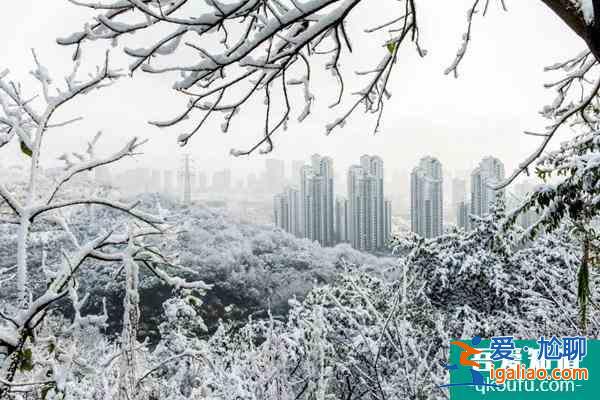 重庆冬季看雪哪里好 重庆冬季看雪的景点及攻略？
