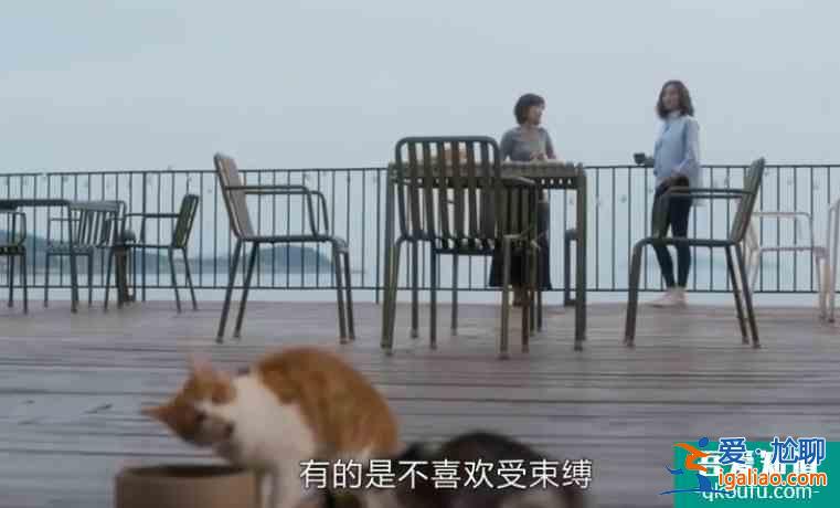 《白色月光》张鑫出轨对象是杨雁，孙雯雯是炮灰，张鑫设的什么局？