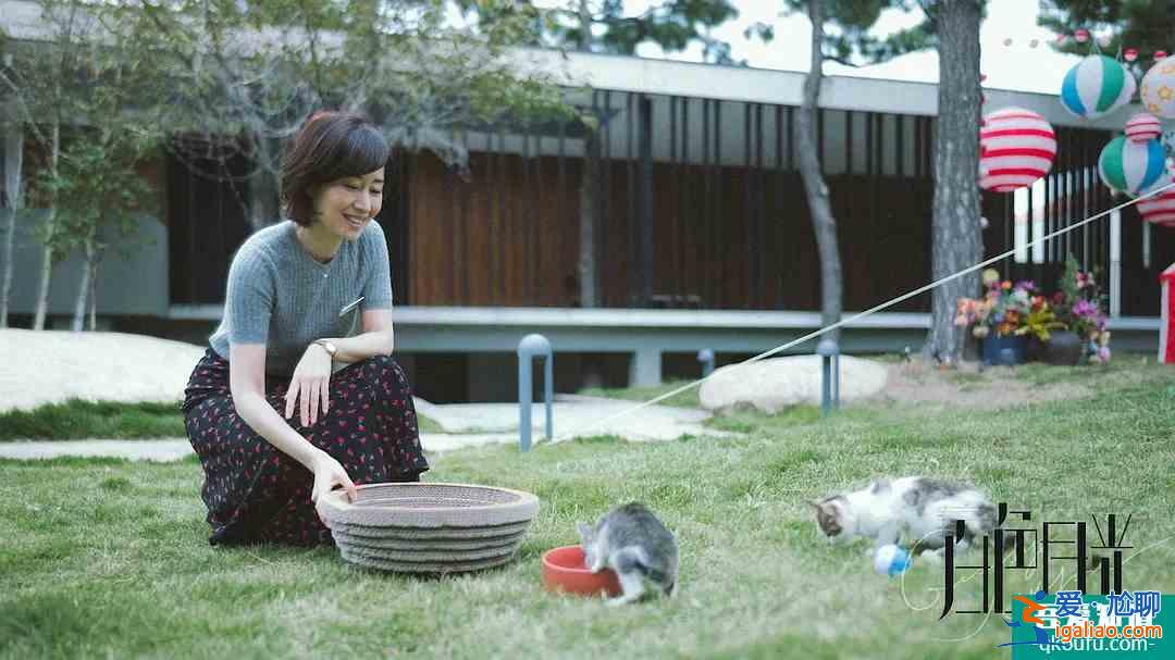首创婚姻悬疑片！《白色月光》看宋佳大女主如何手撕渣男小三？？